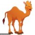 Camel_1